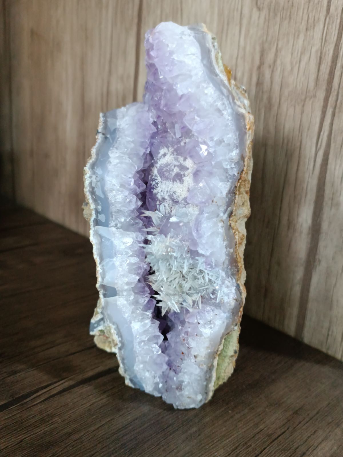 راف آماتیست